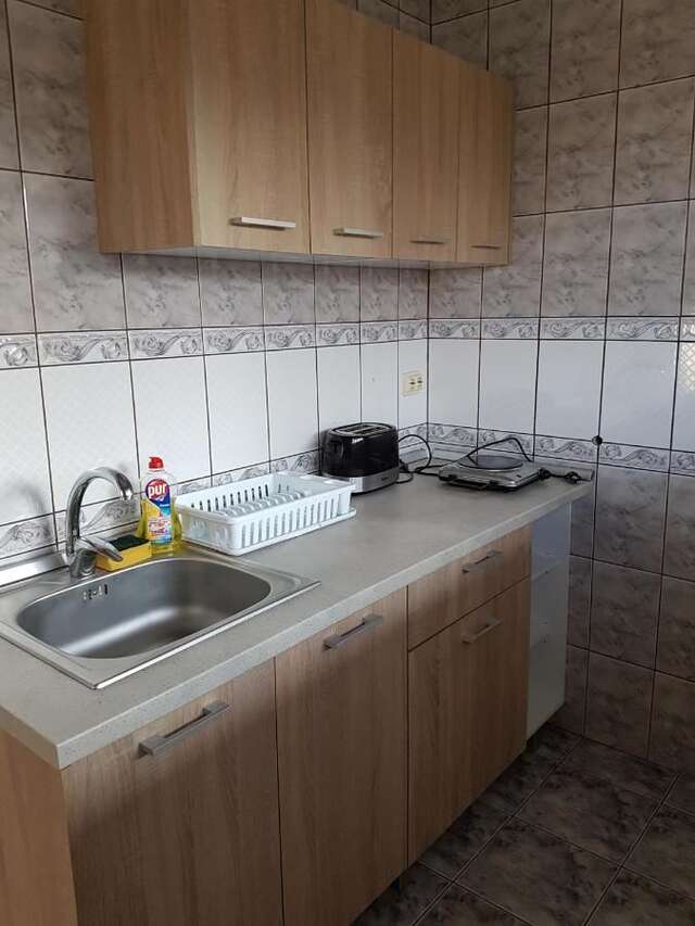 Гостевой дом Pension Yasmine Тимишоара-12